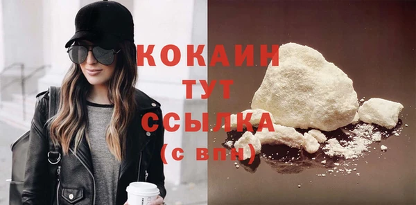 винт Абаза