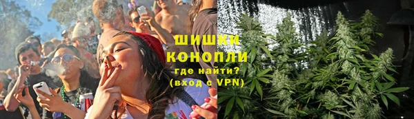 винт Абаза